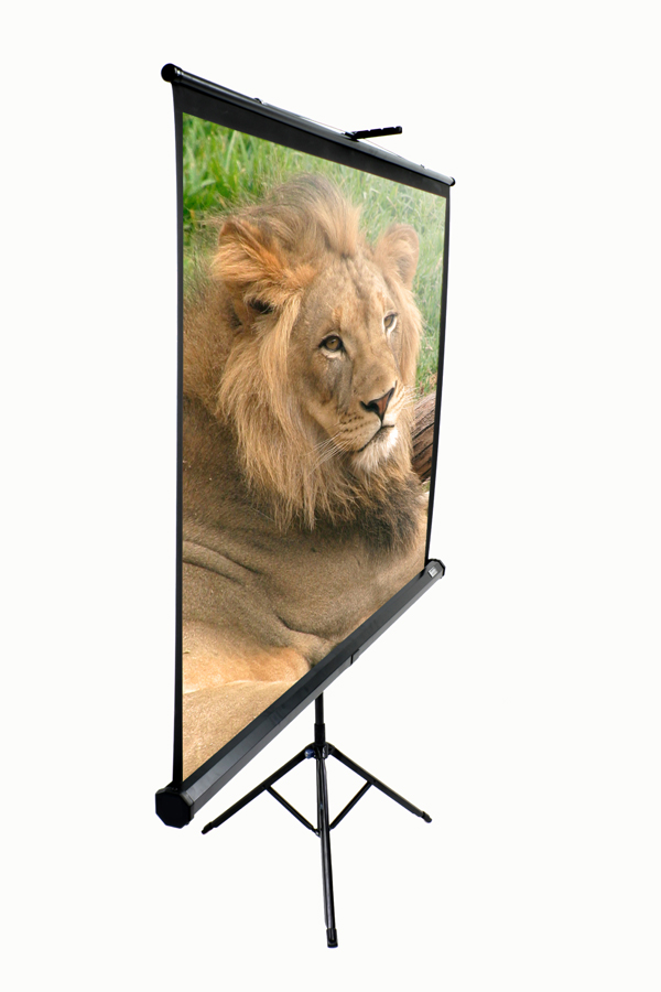 ELITE SCREENS T100UWV1